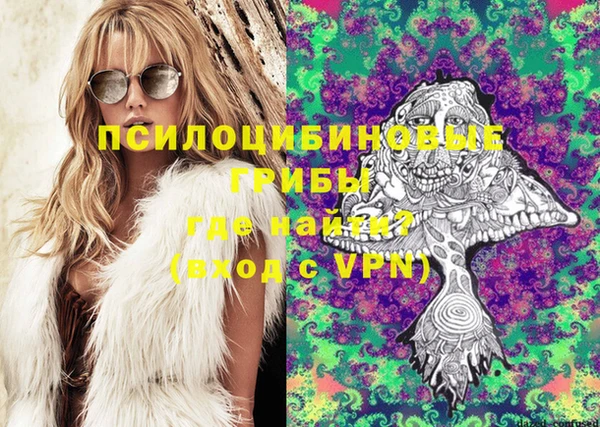дурь Алексеевка