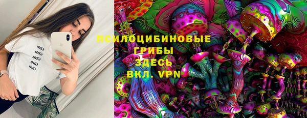 молекула духа Алзамай