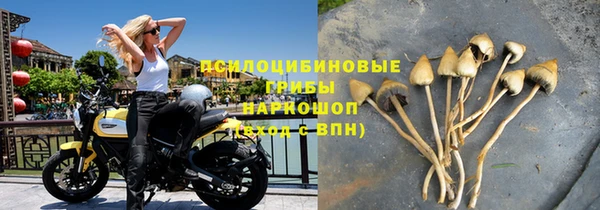 дурь Алексеевка