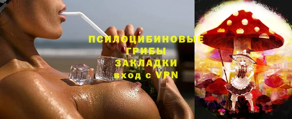 спиды Алексин