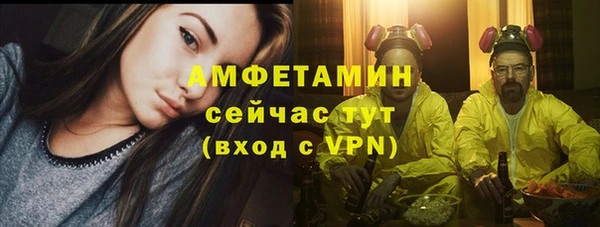 молекула духа Алзамай