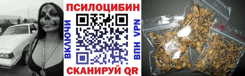 где найти наркотики Котлас Псилоцибиновые грибы мухоморы